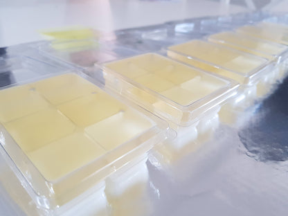 Soy Wax Melts | Aesthetic Minimalist Luxury 80g: Amalfi Coast